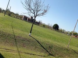  Land for sale in San Lorenzo Santa Fe, San Lorenzo