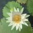 在Quintana Roo出售的6 卧室 屋, Othon P Blanco, Quintana Roo