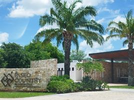 Grundstück zu verkaufen in Conkal, Yucatan, Conkal