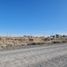  Land for sale in Neuquen, Confluencia, Neuquen