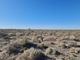  Land for sale in Neuquen, Confluencia, Neuquen