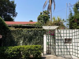 1 Schlafzimmer Wohnung zu vermieten in Valle De Bravo, Mexico, Valle De Bravo