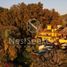 5 Schlafzimmer Villa zu vermieten in Valle De Bravo, Mexico, Valle De Bravo