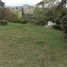  Land for sale in Penol, Antioquia, Penol