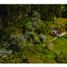 Terrain à vendre à Rionegro, Antioquia, Rionegro, Antioquia, Colombie