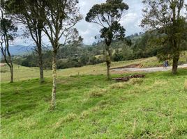 在Antioquia出售的 土地, Retiro, Antioquia