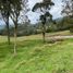  Land for sale in Retiro, Antioquia, Retiro