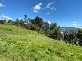  Terreno (Parcela) en venta en La Ceja, Antioquia, La Ceja