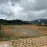 在Antioquia出售的 土地, Retiro, Antioquia