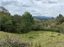 Terrain à vendre à Retiro, Antioquia, Retiro