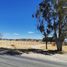  Terreno (Parcela) en venta en Durango, Durango, Durango, Durango