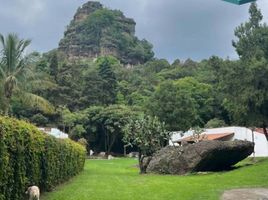 5 Schlafzimmer Haus zu verkaufen in Tepoztlan, Morelos, Tepoztlan