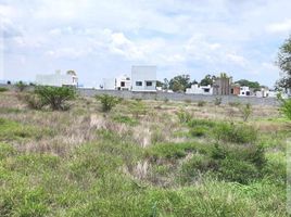  Terreno (Parcela) en venta en El Marques, Querétaro, El Marques