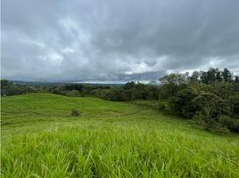 Studio Haus zu verkaufen in Dolega, Chiriqui, Potrerillos, Dolega