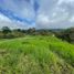 Studio Villa zu verkaufen in Dolega, Chiriqui, Potrerillos