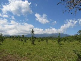 Studio Haus zu verkaufen in Dolega, Chiriqui, Potrerillos, Dolega