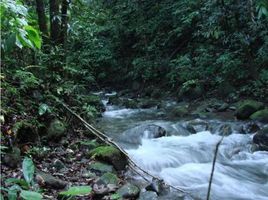 Studio Villa zu verkaufen in Dolega, Chiriqui, Potrerillos, Dolega