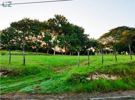  Terreno (Parcela) en venta en Panamá Oeste, San Carlos, San Carlos, Panamá Oeste