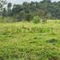  Land for sale in San Miguel De Los Bancos, Pichincha, San Miguel De Los Bancos, San Miguel De Los Bancos