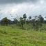  Land for sale in San Miguel De Los Bancos, Pichincha, San Miguel De Los Bancos, San Miguel De Los Bancos