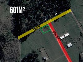  Land for sale in General Pueyrredon, Buenos Aires, General Pueyrredon