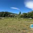  Land for sale in Neuquen, Lacar, Neuquen