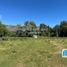  Land for sale in Neuquen, Lacar, Neuquen