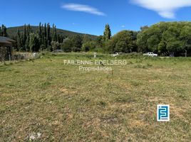  Land for sale in Neuquen, Lacar, Neuquen