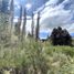  Land for sale in Huiliches, Neuquen, Huiliches