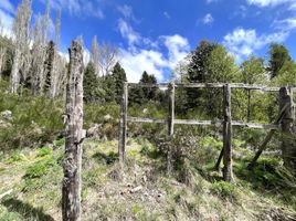  Land for sale in Huiliches, Neuquen, Huiliches