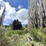  Land for sale in Huiliches, Neuquen, Huiliches