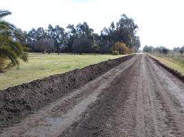  Grundstück zu verkaufen in Tres Arroyos, Buenos Aires, Tres Arroyos