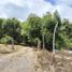  Land for sale in Tepic, Nayarit, Tepic