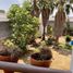 5 Habitación Villa en venta en Morelia, Michoacán, Morelia, Michoacán, México