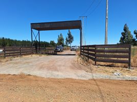  Land for sale in Biobío, Biobío, Los Angeles, Biobío