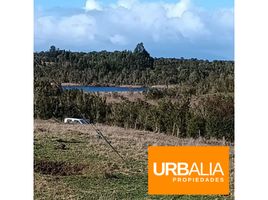  Terreno (Parcela) en venta en Calbuco, Llanquihue, Calbuco