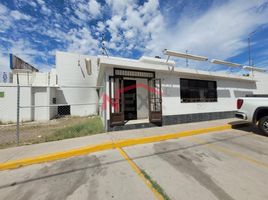 500 平米 Office for rent in Sonora, Hermosillo, Sonora