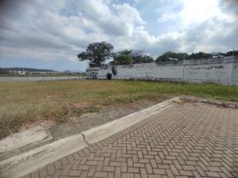  Land for sale in Daule, Guayas, Daule, Daule