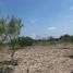 Grundstück zu verkaufen in Apodaca, Nuevo Leon, Apodaca