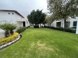 3 Schlafzimmer Appartement zu verkaufen in Queretaro, Queretaro, Queretaro, Queretaro
