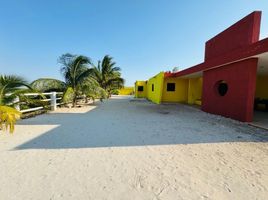 4 Schlafzimmer Villa zu verkaufen in Chicxulub Pueblo, Yucatan, Chicxulub Pueblo