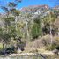  Terreno (Parcela) en venta en Aisén del General Carlos Ibáñez del Campo, Coihaique, Coihaique, Aisén del General Carlos Ibáñez del Campo