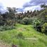  Land for sale in Rionegro, Antioquia, Rionegro