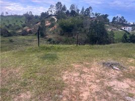 Terrain à vendre à San Vicente, Antioquia, San Vicente