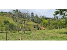  Terreno (Parcela) en venta en Retiro, Antioquia, Retiro