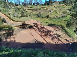 Terrain à vendre à San Vicente, Antioquia, San Vicente