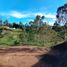 Terrain à vendre à San Vicente, Antioquia, San Vicente