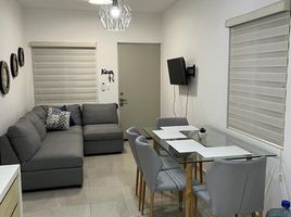 2 Habitación Departamento en alquiler en Cozumel, Quintana Roo, Cozumel, Quintana Roo