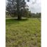  Land for sale in Curiti, Santander, Curiti