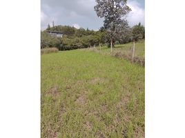  Land for sale in Santander, Curiti, Santander